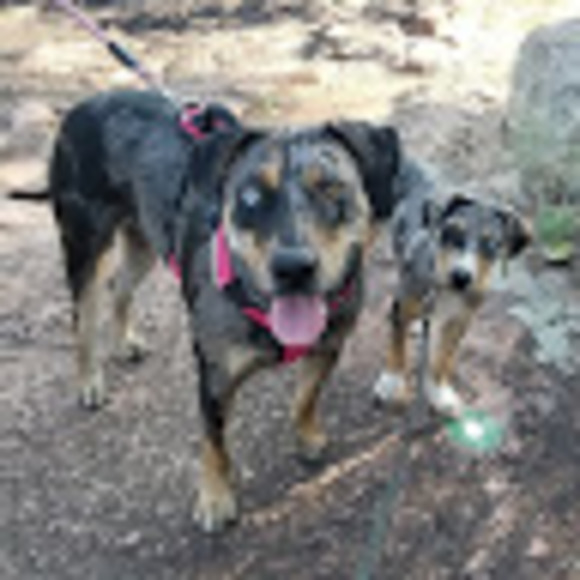 Meet your Posher, Monica - Picture 1 of 1